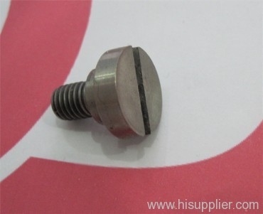 Titanium 3.7065 screws
