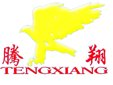 Changzhou Tengxiang Mechanical & Electrical Equipment Manufacturing Co., Ltd.