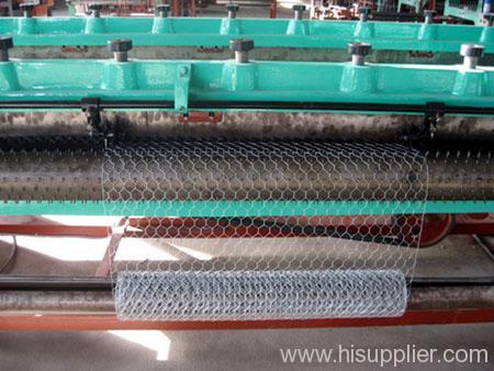 Hexagonal wire mesh for cages