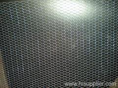 Hexagonal wire netting