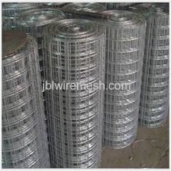 Welded Wire Mesh