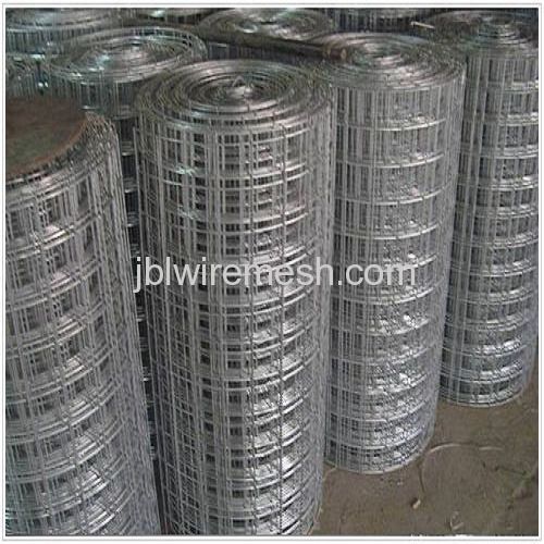 Welded Wire Mesh Rolls