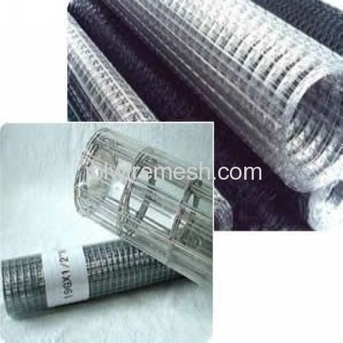 Hot DIP Galvanized Wire Mesh