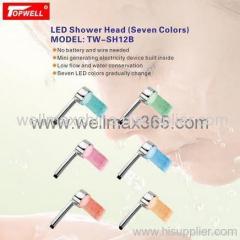 LED Shower with Single Color