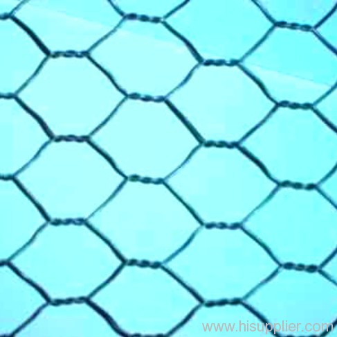 Carbon Steel Hexagonal Wire Mesh Fencing