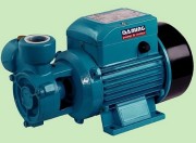 peripheral water pump