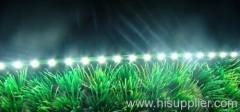 LED rigid strip