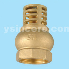 Check Valve