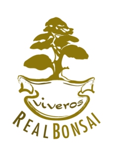 Viveros Real Bonsai