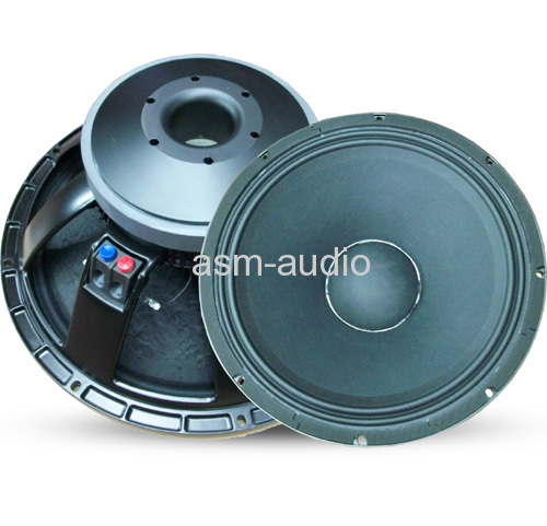 PA audio woofer