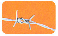 Barbed wire