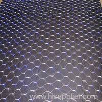 LED net light