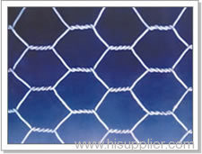 Hexagonal Wire Mesh