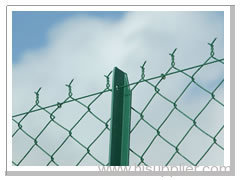 Chain Link Fence