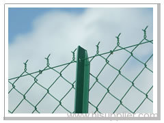 Chain Link Fence