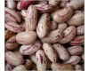 light speckled kideny beans