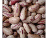 bean pinto bean light speckled kidney bean