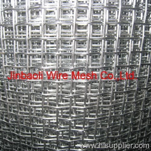 Electro Galvanized Iron Wire Netting