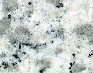 Grey White Granite ZMB1