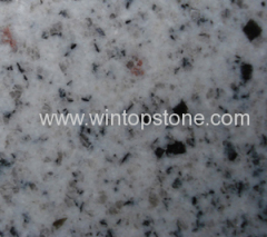 Grey White Granite ZMB2