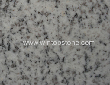 Grey White Granite ZMB3