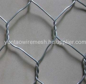 Chicken Wire Meshes