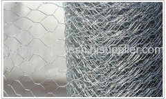 Hexagonal Wire Netting of 3'X100'