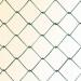 chian link fence