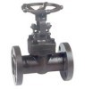 Forged steel flange gate valve