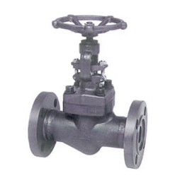 Flange and butt-welded globe valve