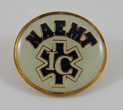 lapel pin