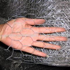 hot dipped galvanized hexagonal wire netting