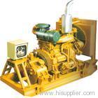 natural gas generator set