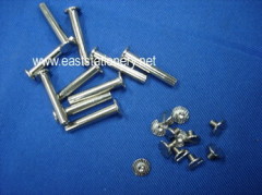 Screw