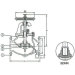 Bronze Globe Check Valve