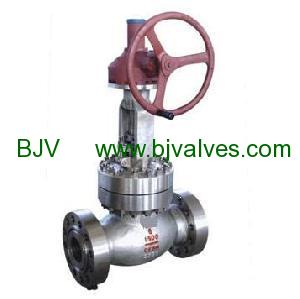 BjV A 216 WCB flanged globe valve 600 lb