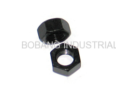 Hex Nut