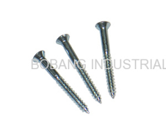 Countersunk Head Screw