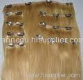 clips in human hair extension