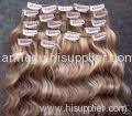 clips in human hair extension