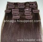 clips in human hair extension