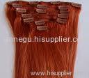 clips in human hair extension