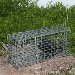 live animal cage trap