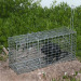 metal wire cage trap