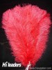 Decorative ostrich feather
