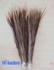 Dyed pheasant tail feather