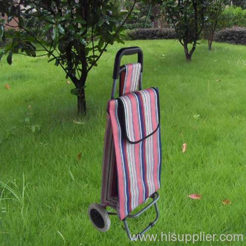 Folding Shopping Trolley bags