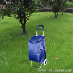Foldable Shopping Trolley Bag