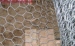 Hexagonal gabion box