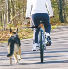 Walky Dog Bicycle Leash